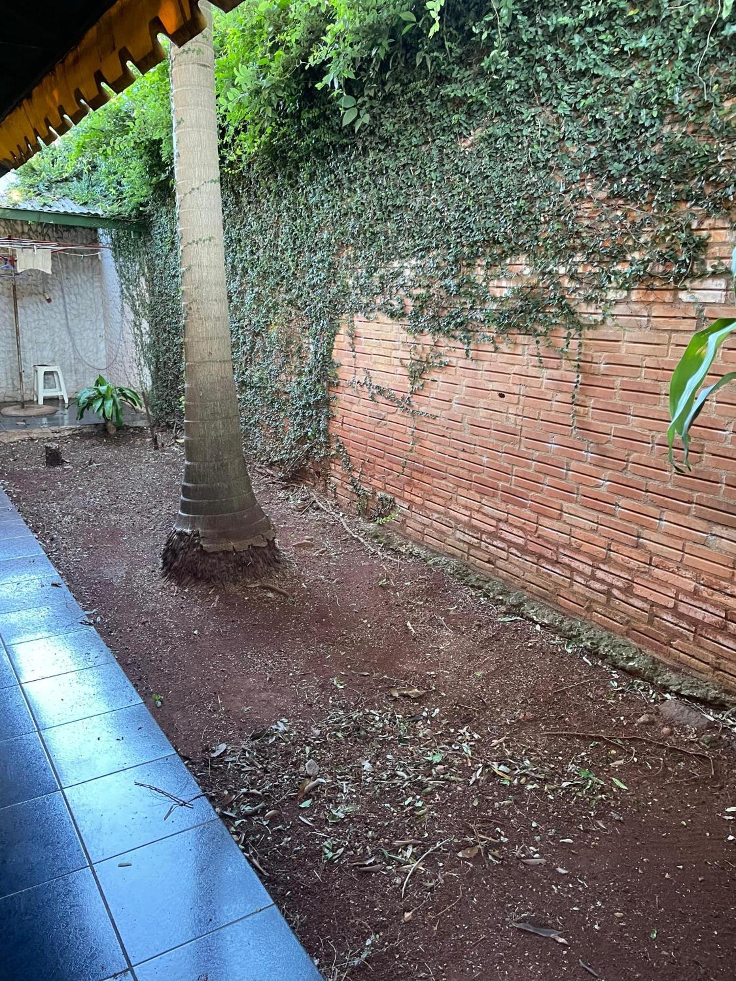 ¡Tucanes Iguazu! Puerto Iguazú Eksteriør billede